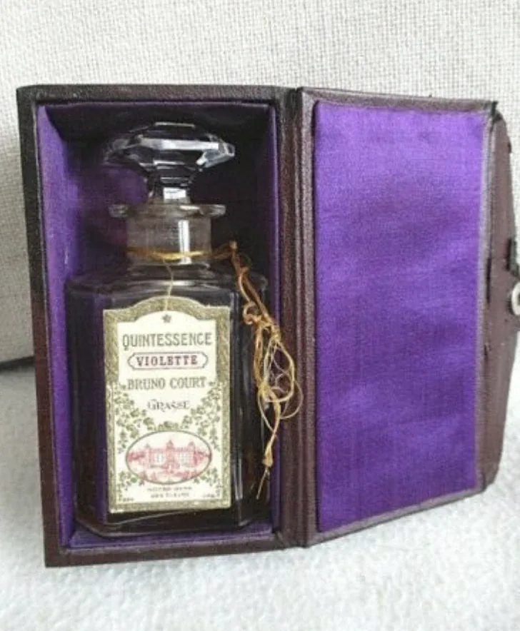 Quintessence · Violette