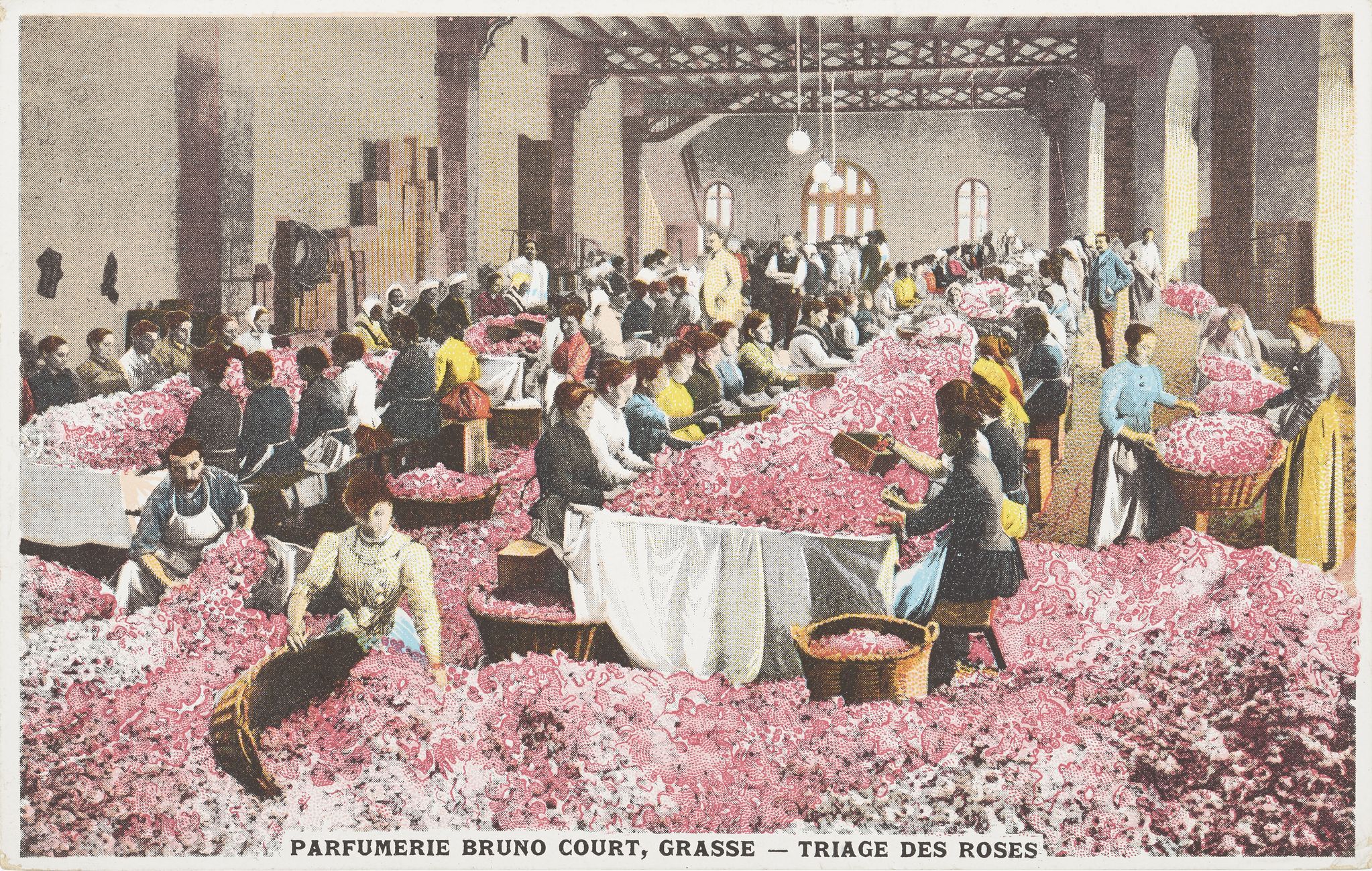 Historical Bruno Court postcard showing women sorting rose petals in a tall workshop